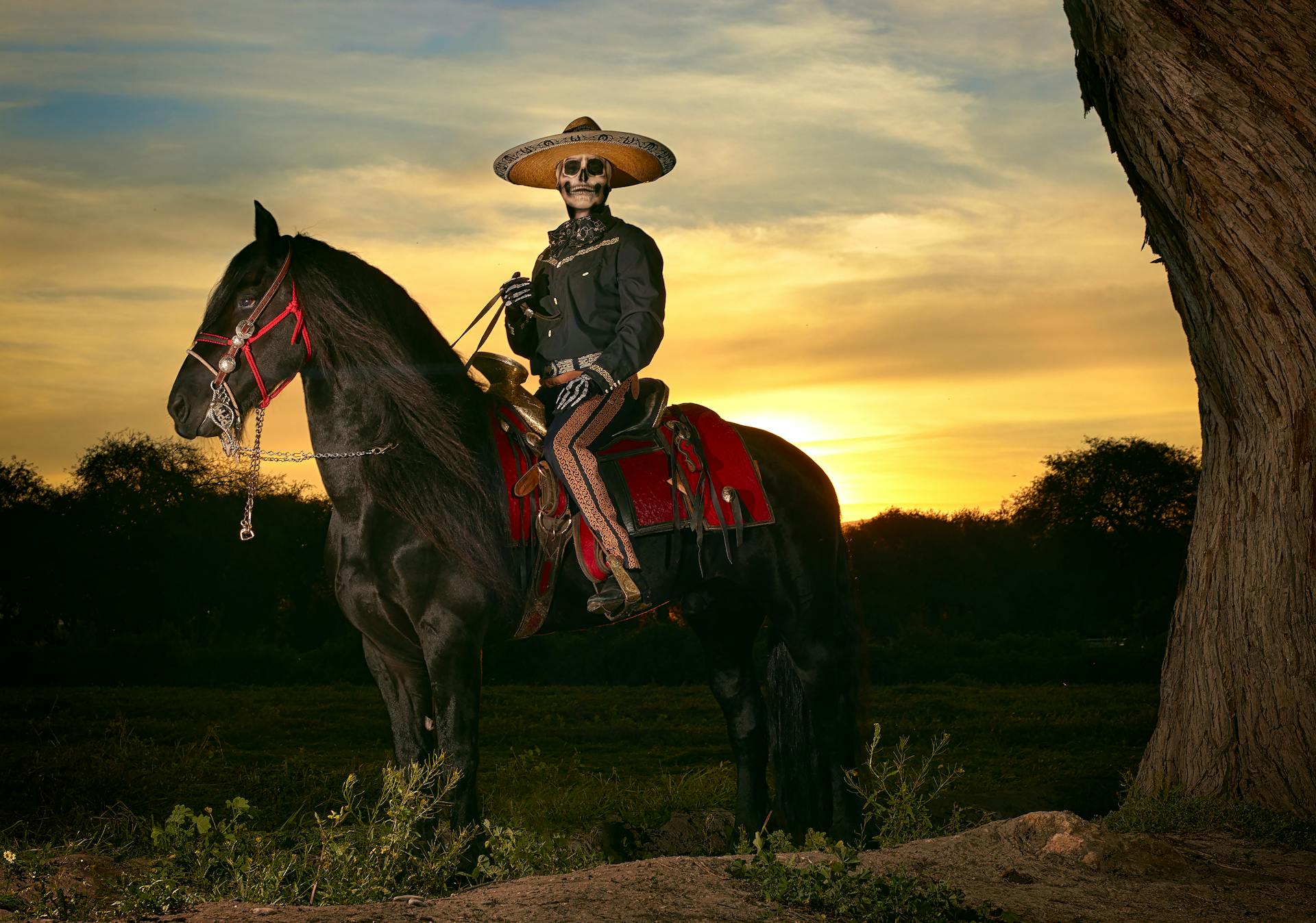Los héroes olvidados de la independencia: más allá de Hidalgo y Morelos