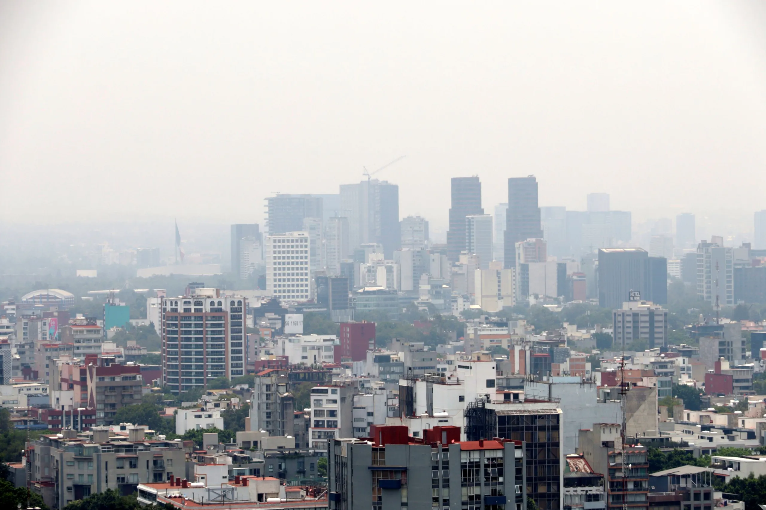 Guía de supervivencia para la contingencia ambiental: Cómo cuidar tus pulmones