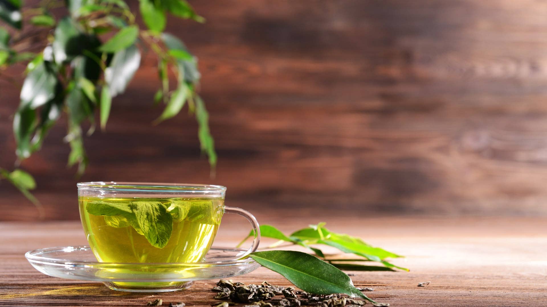 La ciencia explica cómo preparar el té para aprovechar al máximo sus beneficios