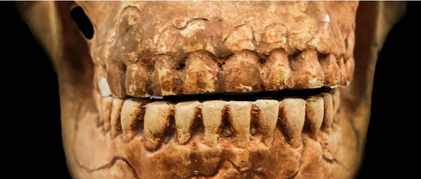 Los dientes que cuentan la historia: mujeres y tejido en la prehistoria revelados por la ciencia